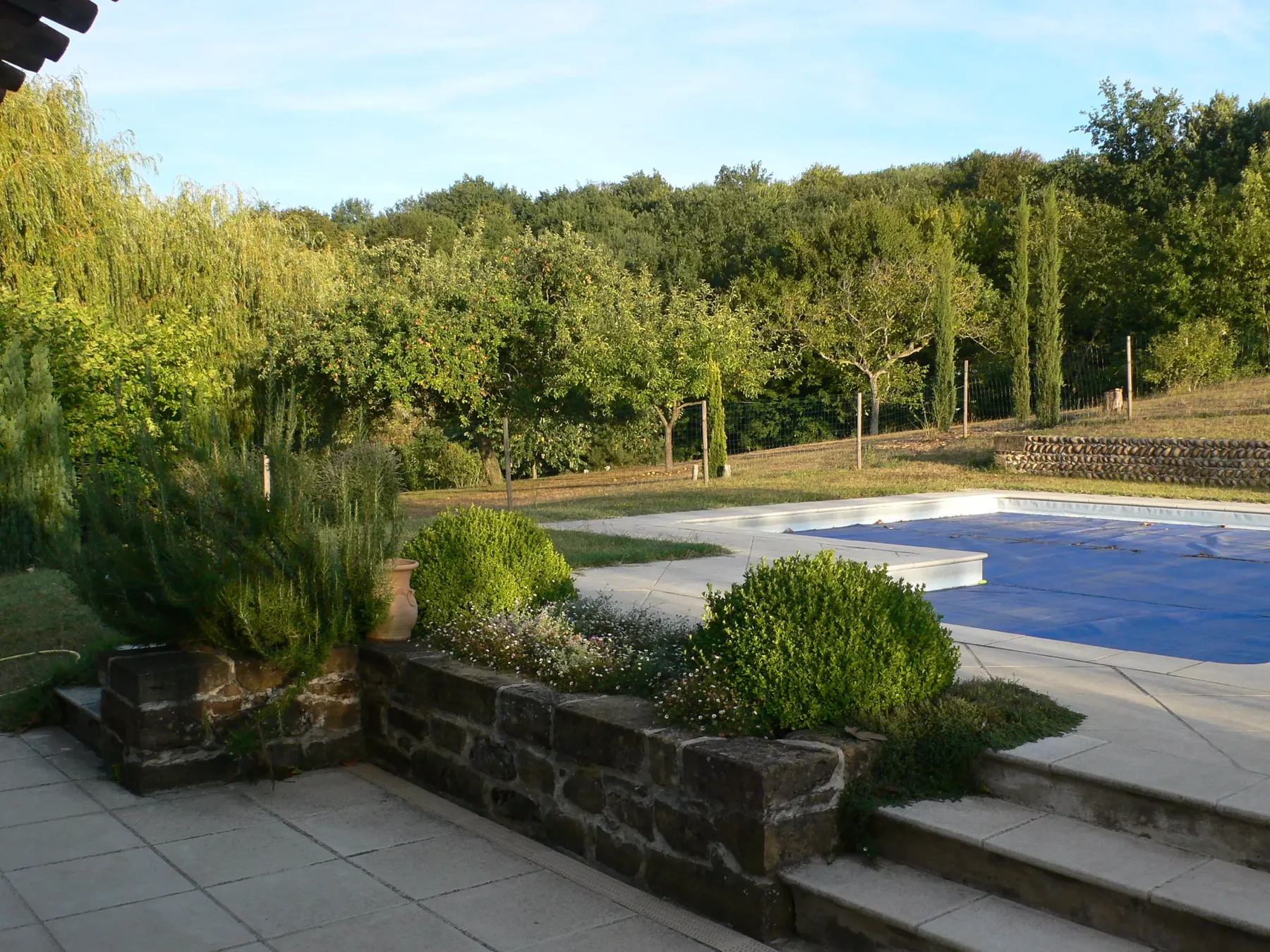 Haies taillées et allée de jardin dans le Rhône